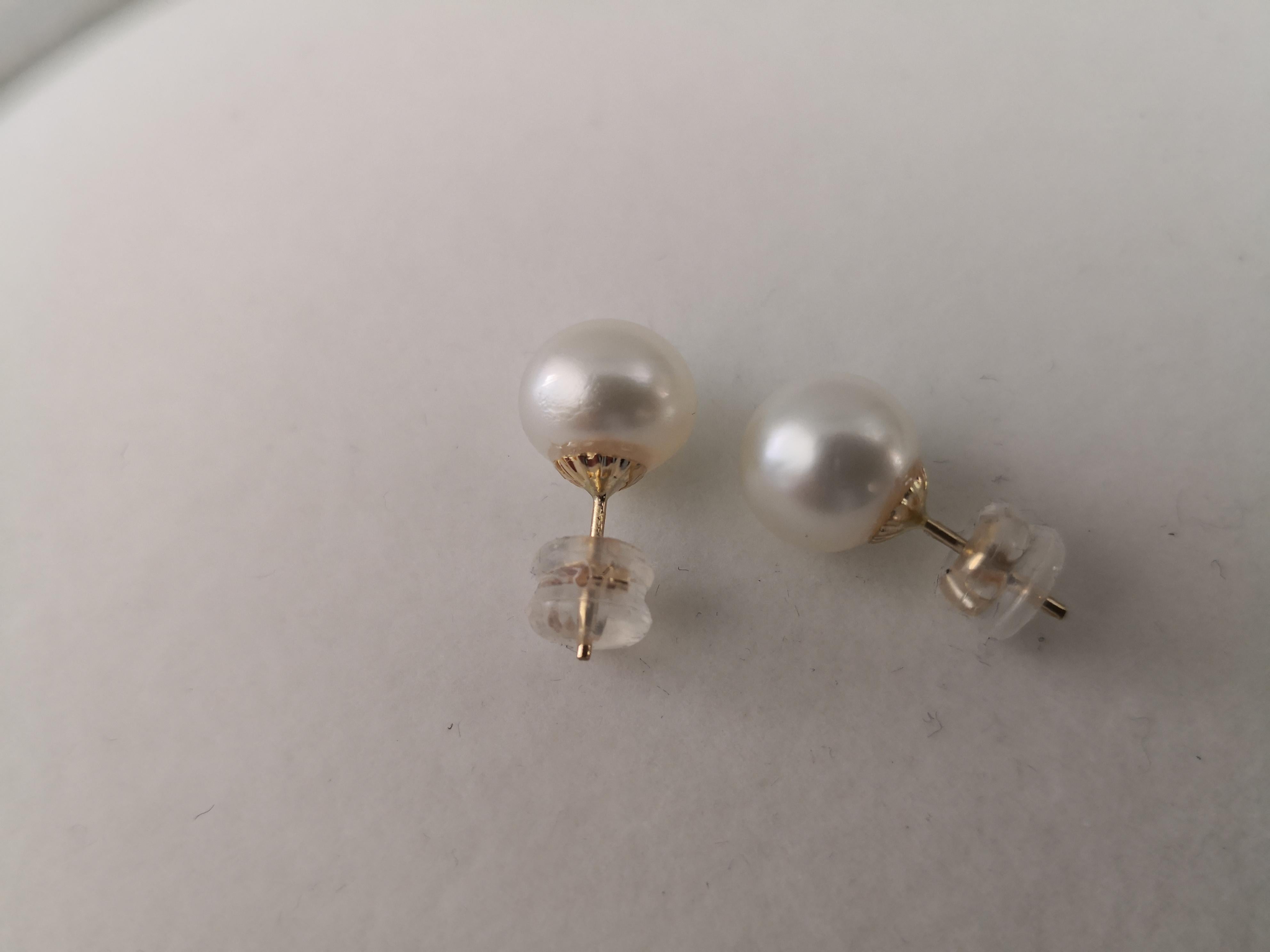 - Natural Color South Sea Pearls earrings

- Origin: Australian ocean waters

- Produced by Pinctada Maxima Oyster

- 18K Yellow Gold mounting

- Size of Pearls 10  mm of diameter

- Pearls of near round shape

- High natural luster and orient