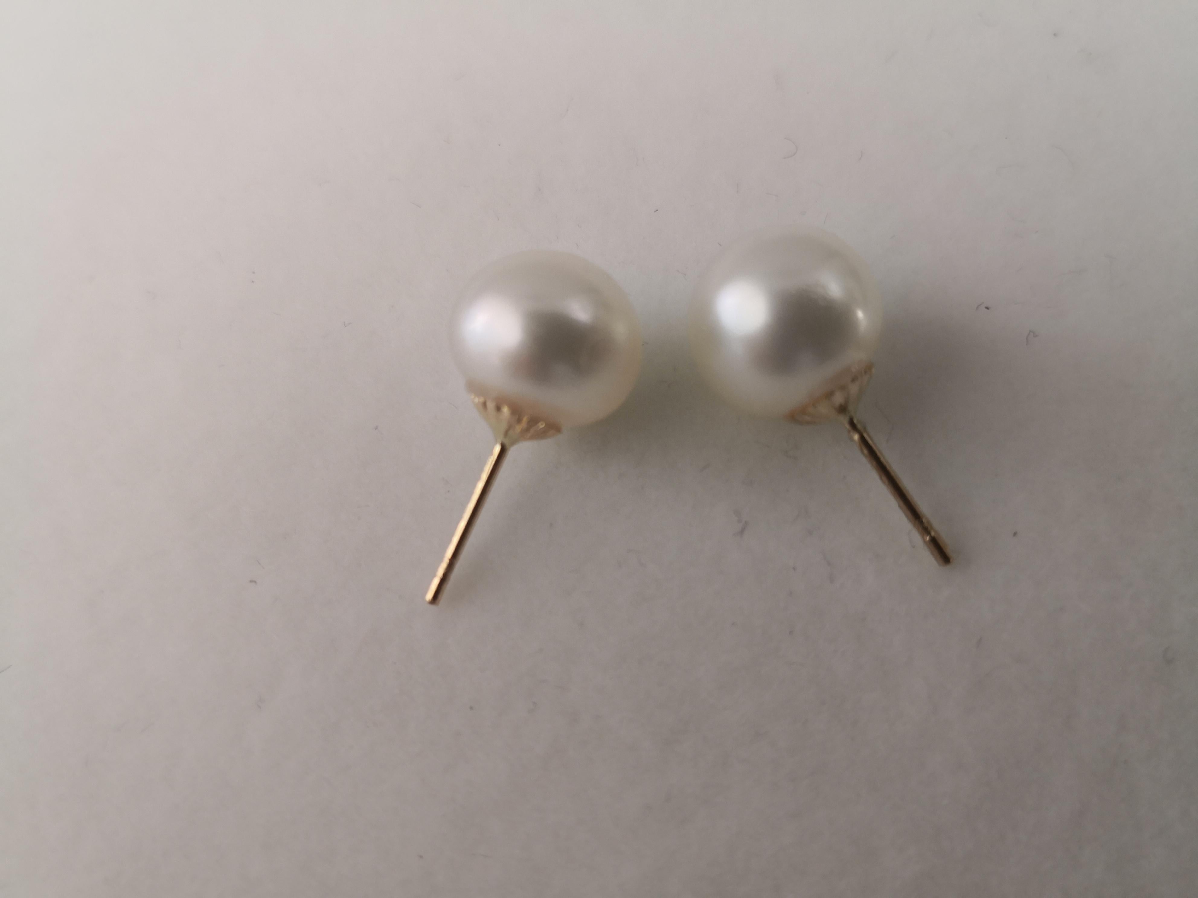 South Sea Pearls Earrings, Round, Natural Color, 18 Karat Gold In New Condition In Cordoba, ES