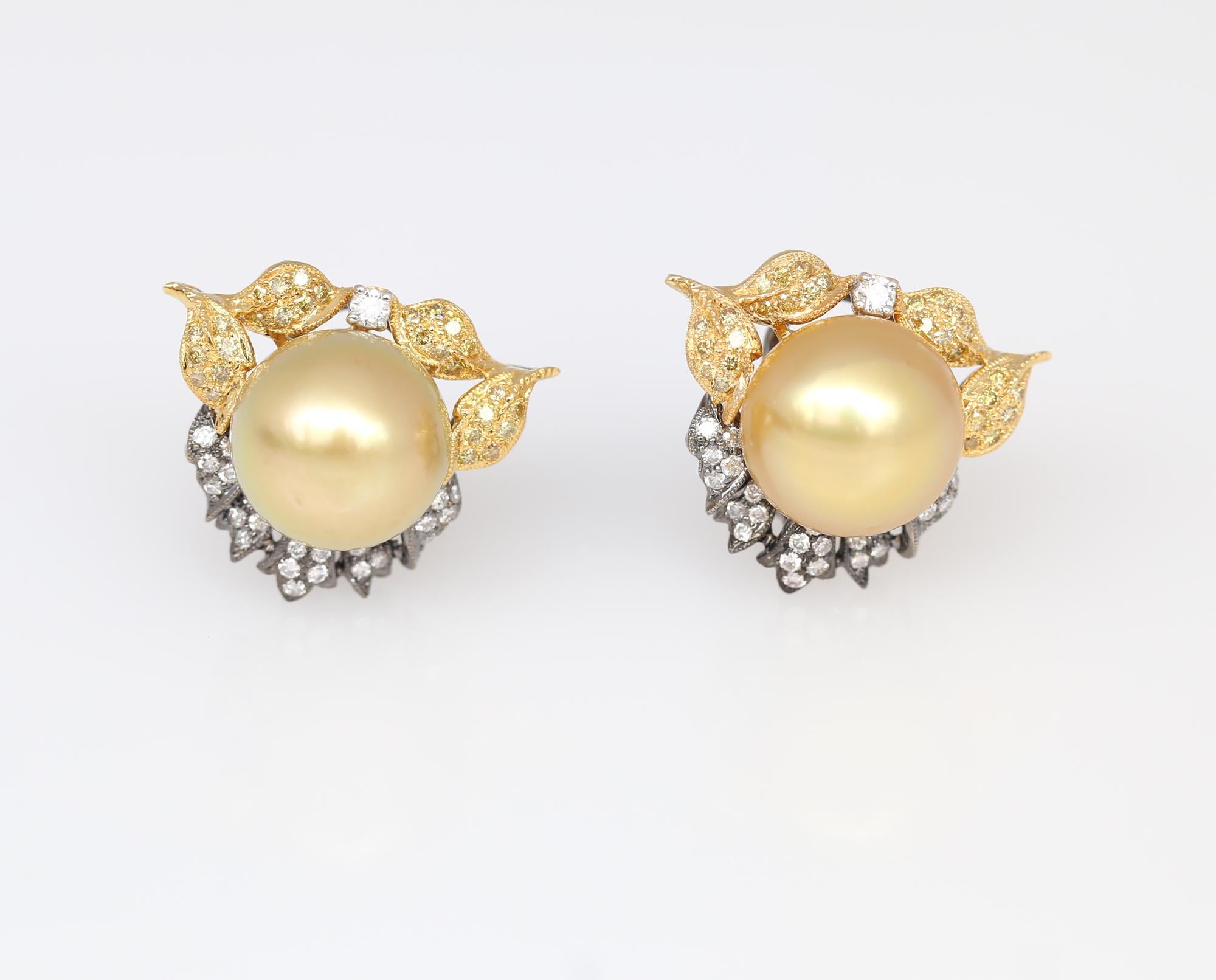 South Sea Pearls Earrings 15 mm Diamonds Yellow Black Gold, 1990 1