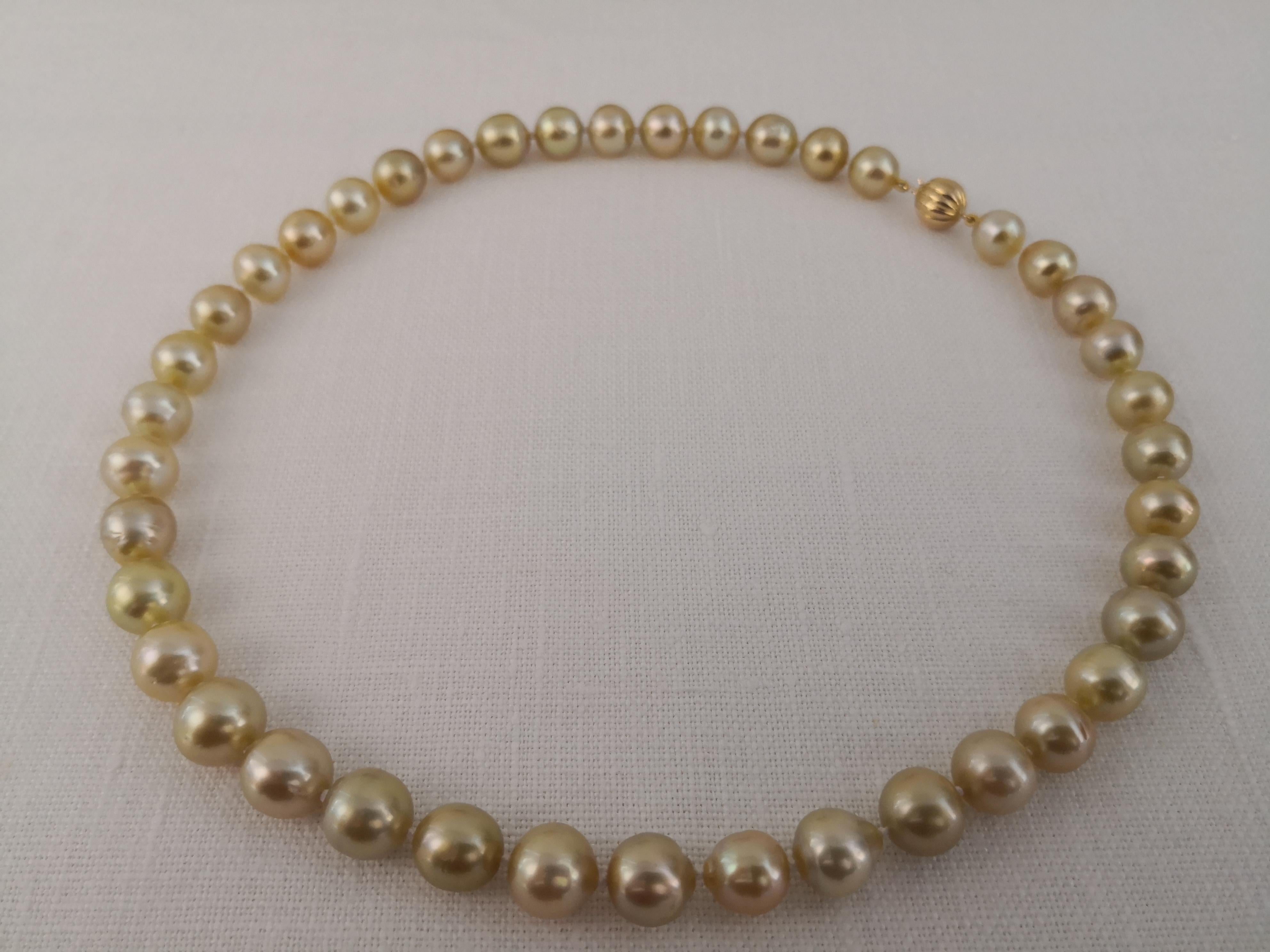 A Natural Color South Sea Pearls, from ocean waters.

- Size of Pearls 10-12 mm of diameter

- Pearls from Pinctada Maxima Oyster

- Origin: Indonesia ocean waters

- Natural multicolor White,  Cream, Golden, Champaign and mixed overtones

- Natural