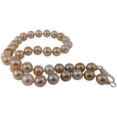 South Sea Pearls Natural Colors