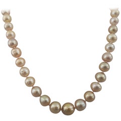 South Sea Pearls Necklace, Deep Gold Natural Color, 18 Karat Gold