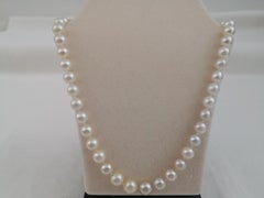 South Sea Pearls Necklace White Color
