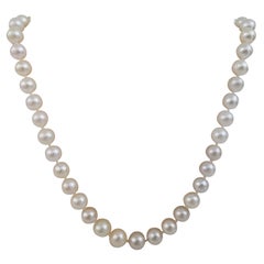 South Sea Pearls Necklace White Color
