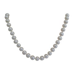 South Sea Pearls White Natural Color and Very High Luster