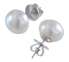 South Sea Pink / White Button Pearl Earrings