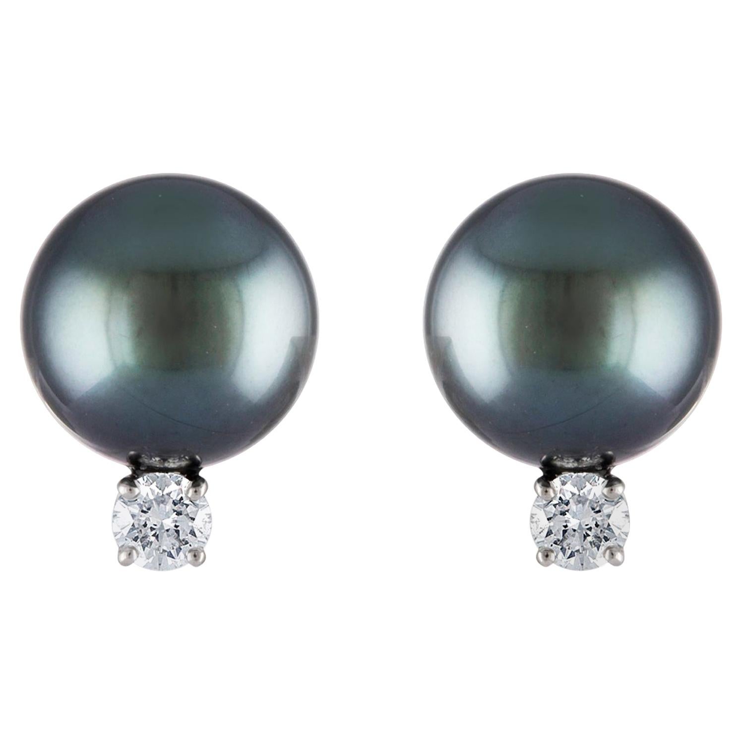 South Sea Tahitian Pearl and Diamond Stud Earrings on 14 Karat White Gold