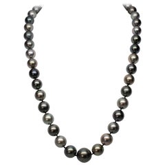 Collier de perles des mers du Sud de Tahiti avec fermoir en or blanc 14 carats