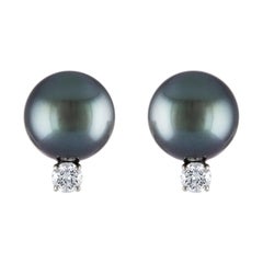 South Sea Tahitian Round Pearl and Diamond 18 Karat White Gold Stud Earrings