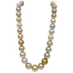 South Sea White and Golden Near-Round Necklace with Gold Clasp