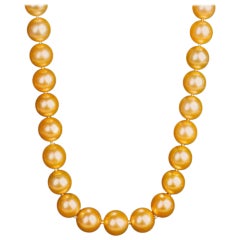 Collier de perles ombrées blanches et dorées des mers du Sud