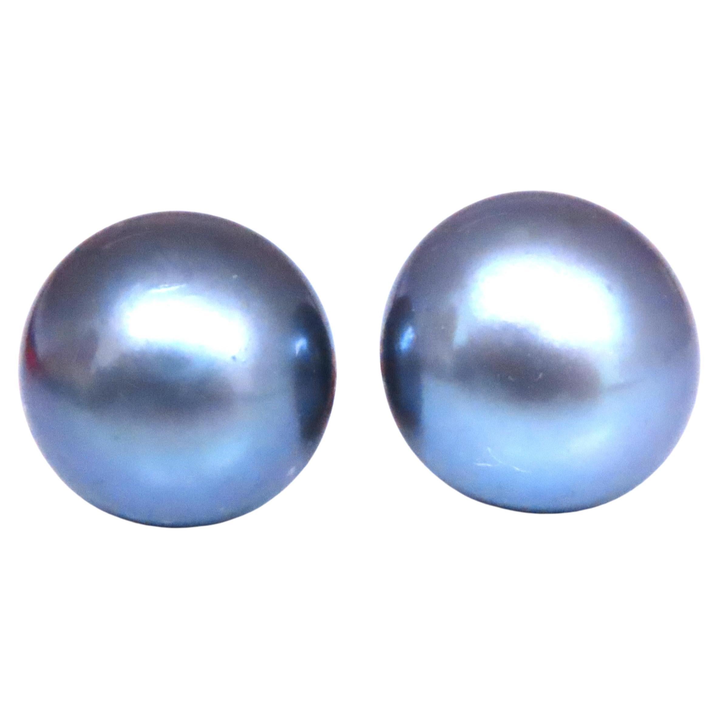 South Seas Peacock Gray Pearl Studs 14kt Gold 12589