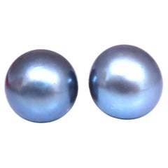 South Seas Peacock Gray Pearl Studs 14kt Gold 12589*