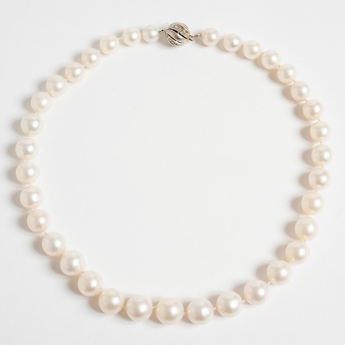 Brilliant Cut South Seas Pearl Necklace, 14 Karat White Gold Set, Polished Diamonds For Sale
