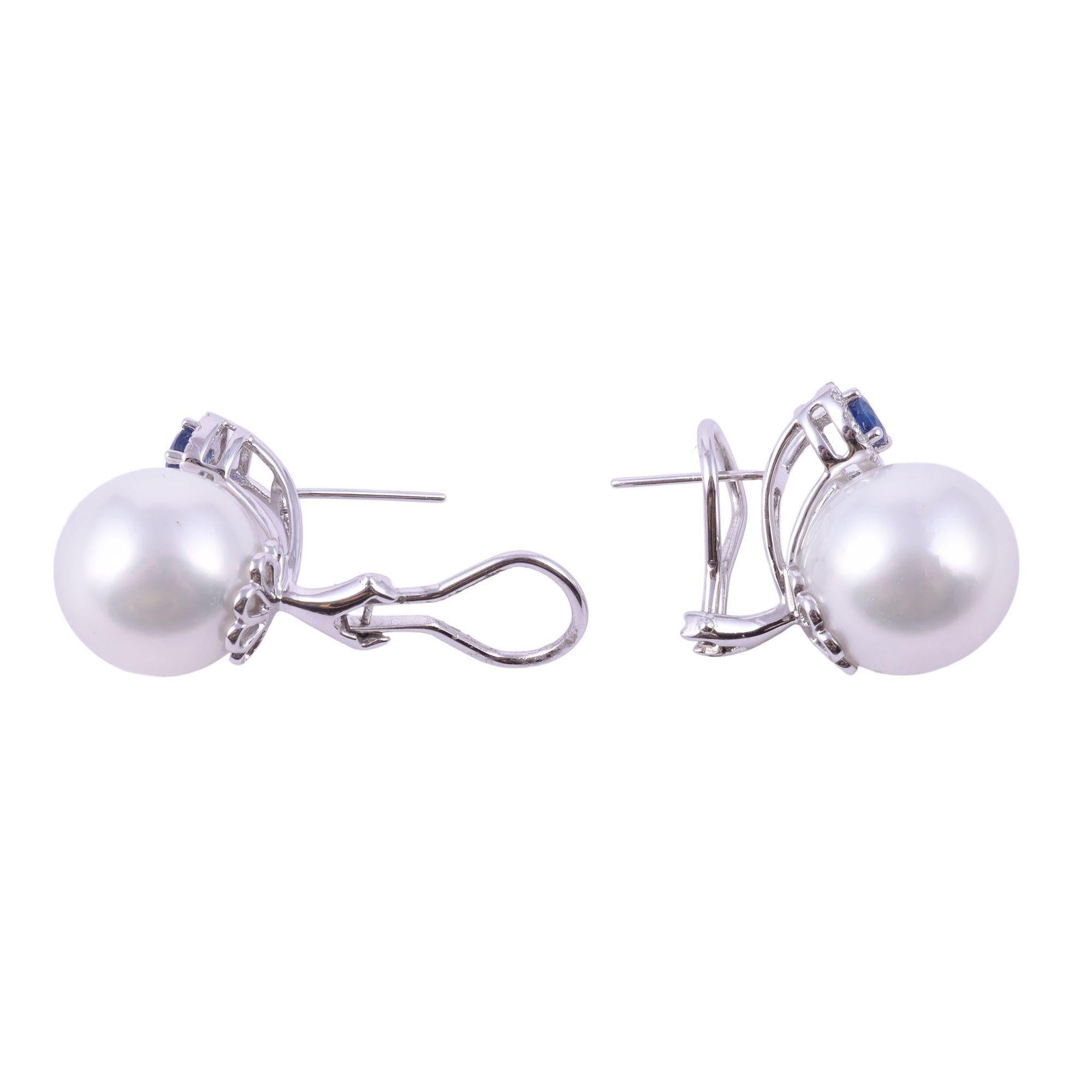Round Cut South Seas Pearl & Sapphire Earrings For Sale