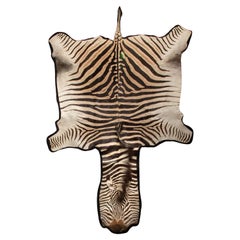 Eleganza dell'Africa meridionale: Tappeto Burchell's Zebra extra grande 136"