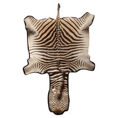 Vintage Southern African Elegance: Extra Large Burchell's Zebra Rug 136" 