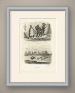 Südafrikanische Krieger mit Schilden und Straußen, antiker Druck, 1859