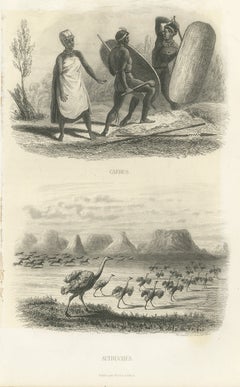 Südafrikanische Krieger mit Schilden und Straußen, antiker Druck, 1859