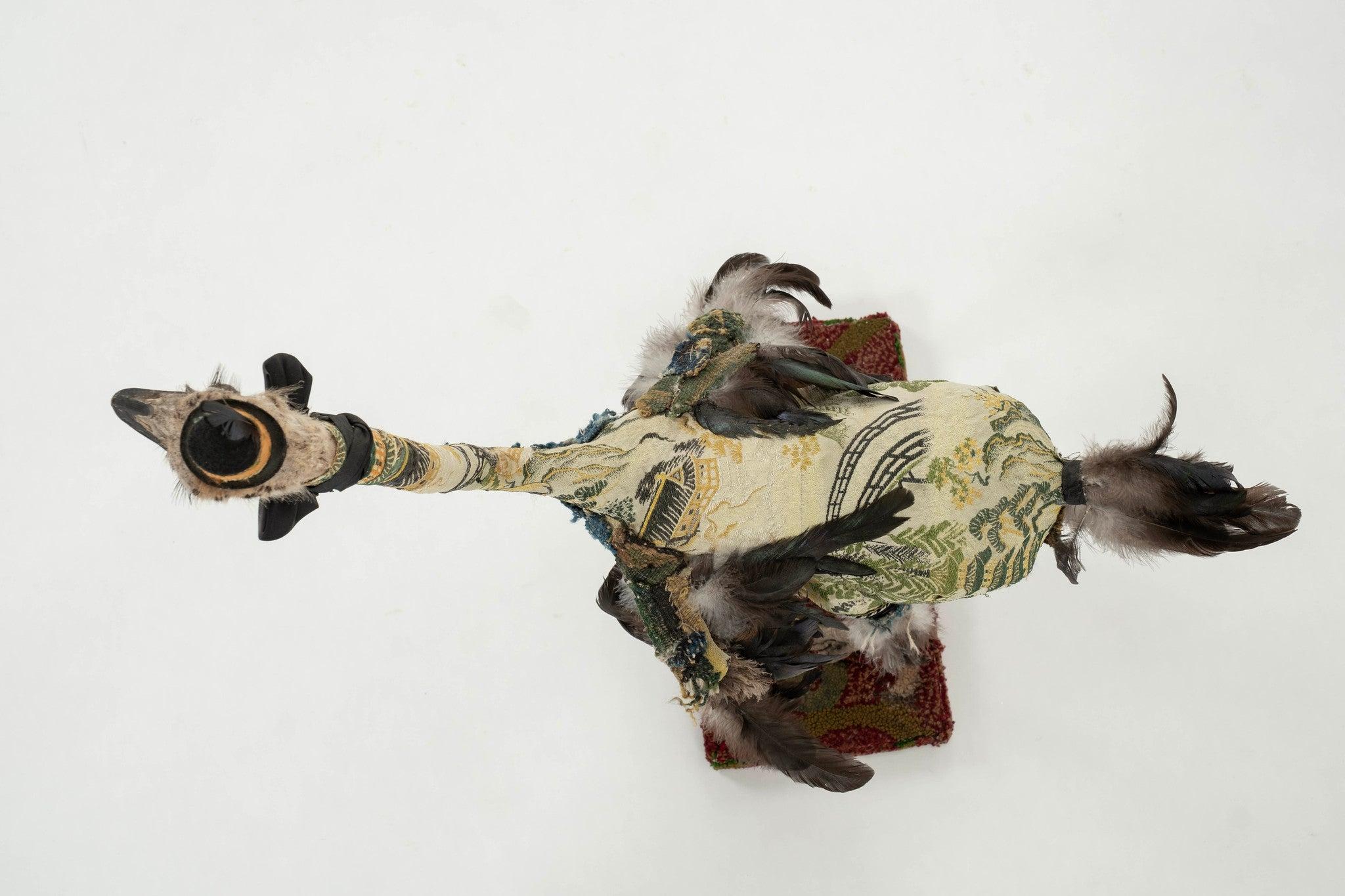 Southern Beasts Ostrich Taxidermy For Sale 4