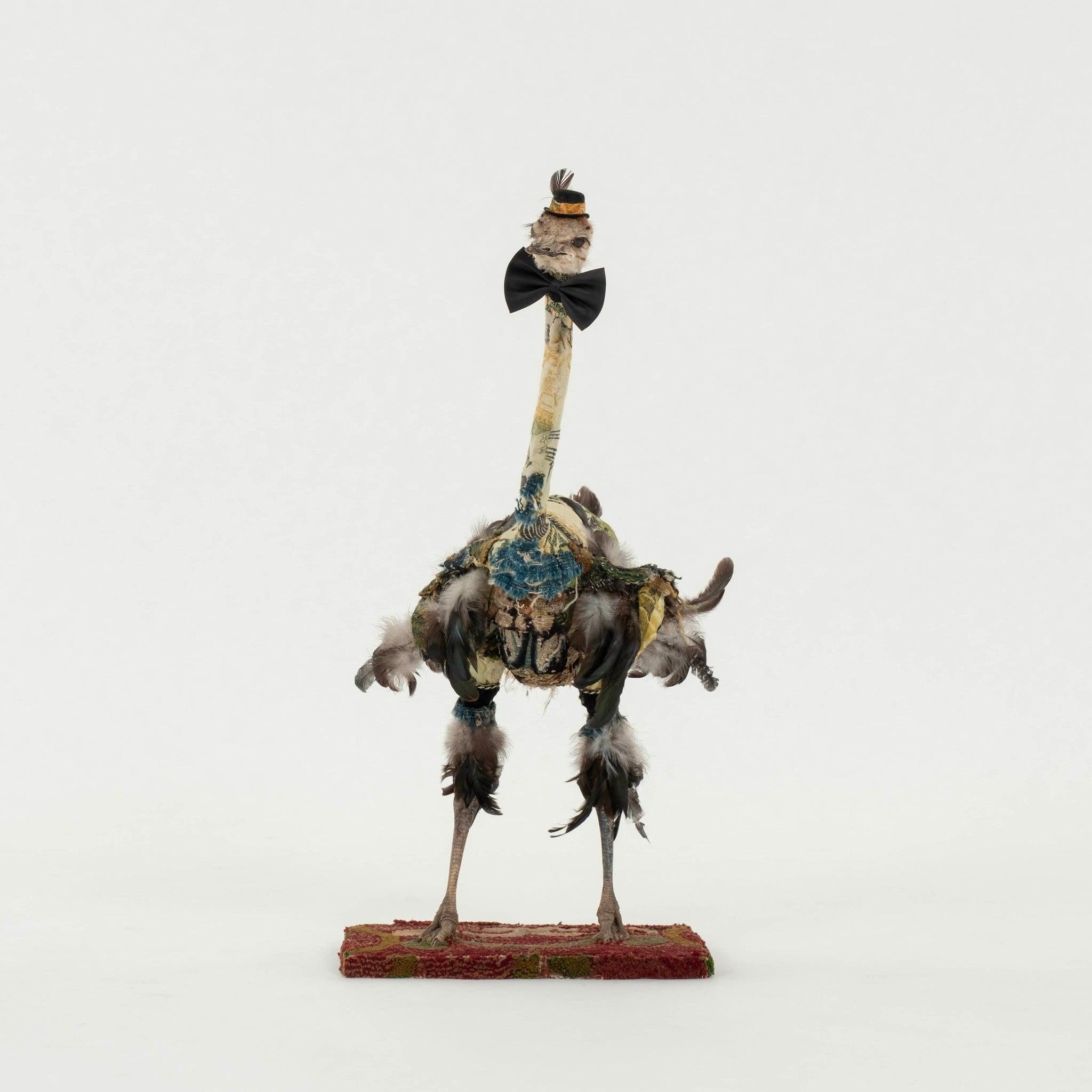 21st Century Southern Beasts young ostrich taxidermy newly adorned with antique and vintage texttiles. 
