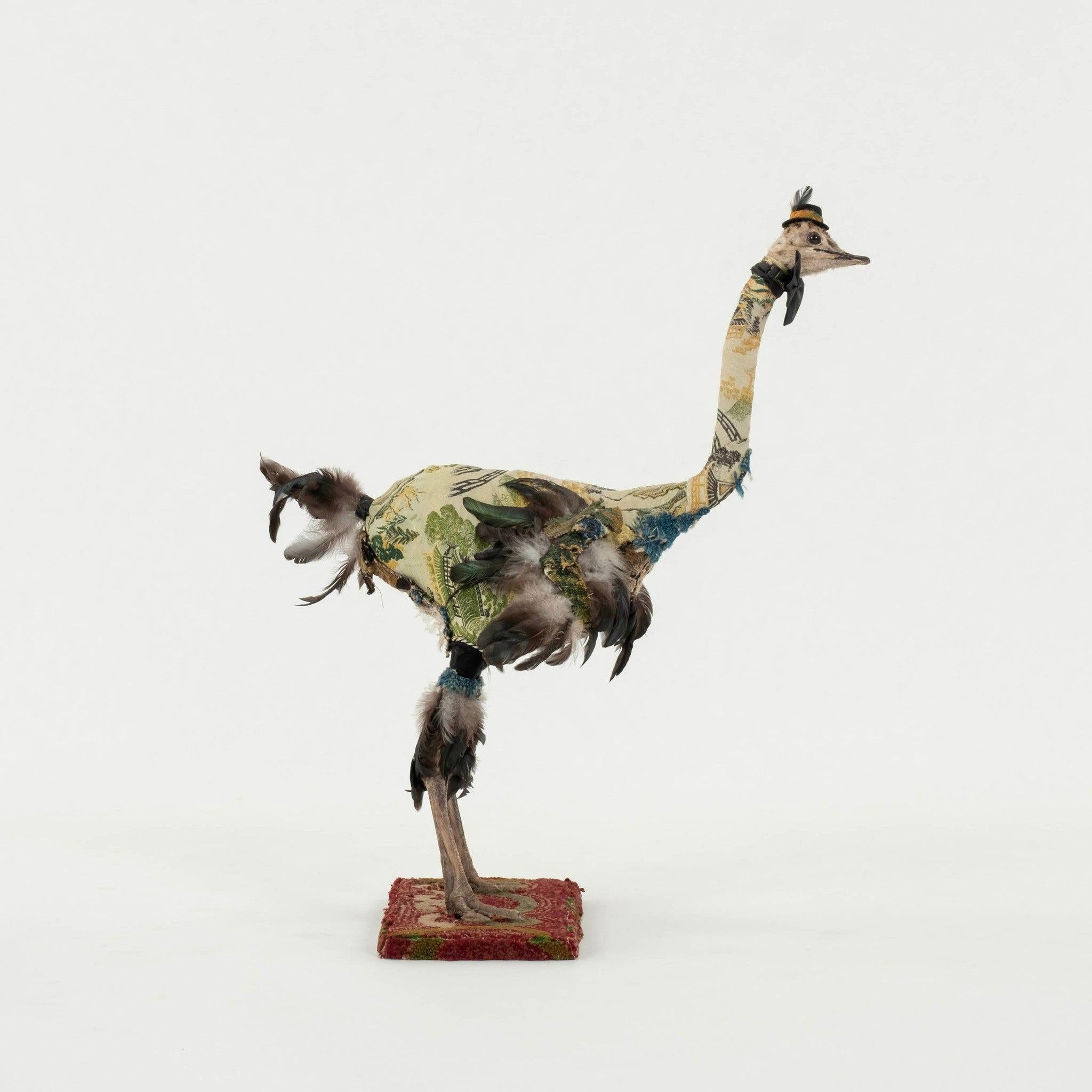 American Southern Beasts Ostrich Taxidermy For Sale