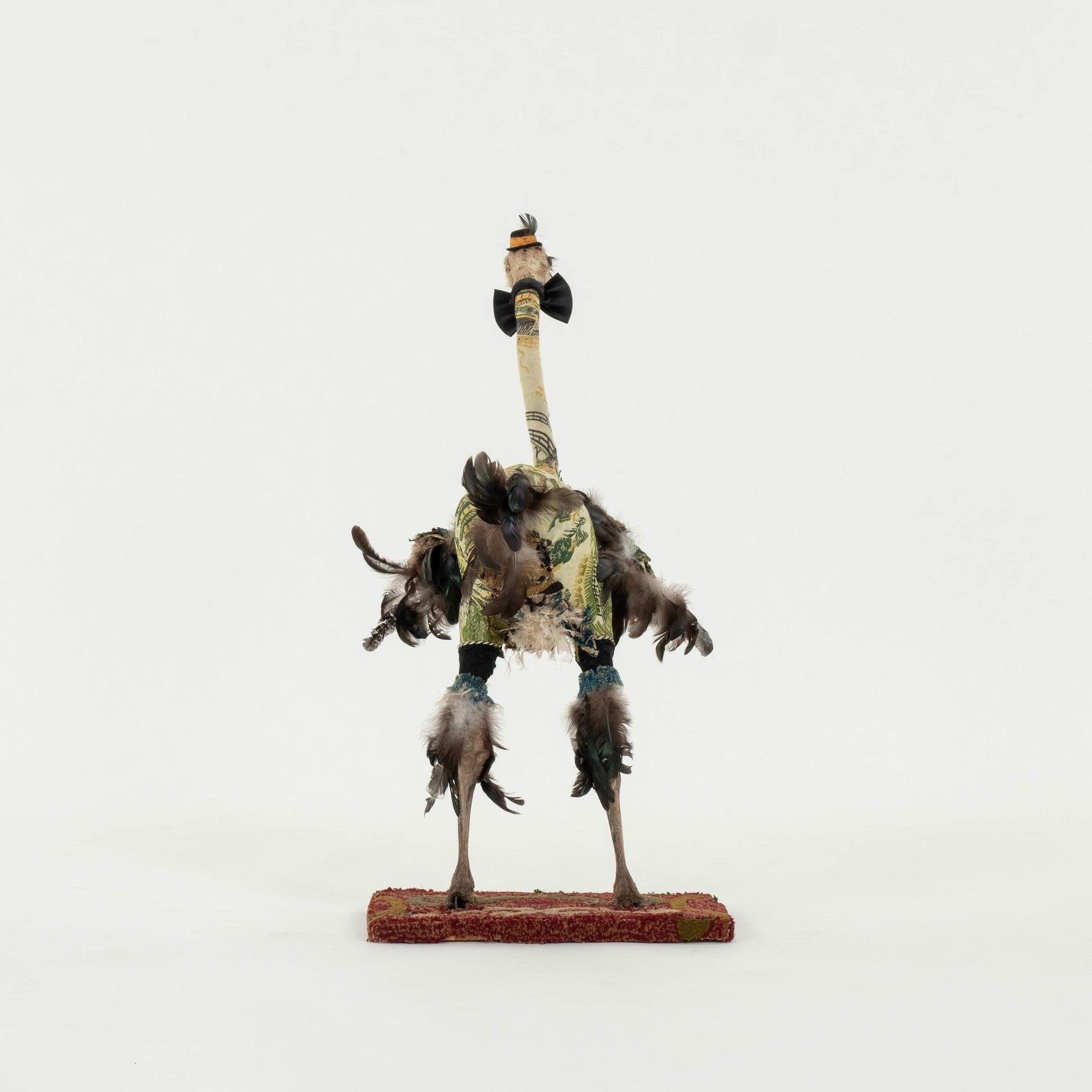 Southern Beasts Ostrich Taxidermy In Good Condition For Sale In Houston, TX
