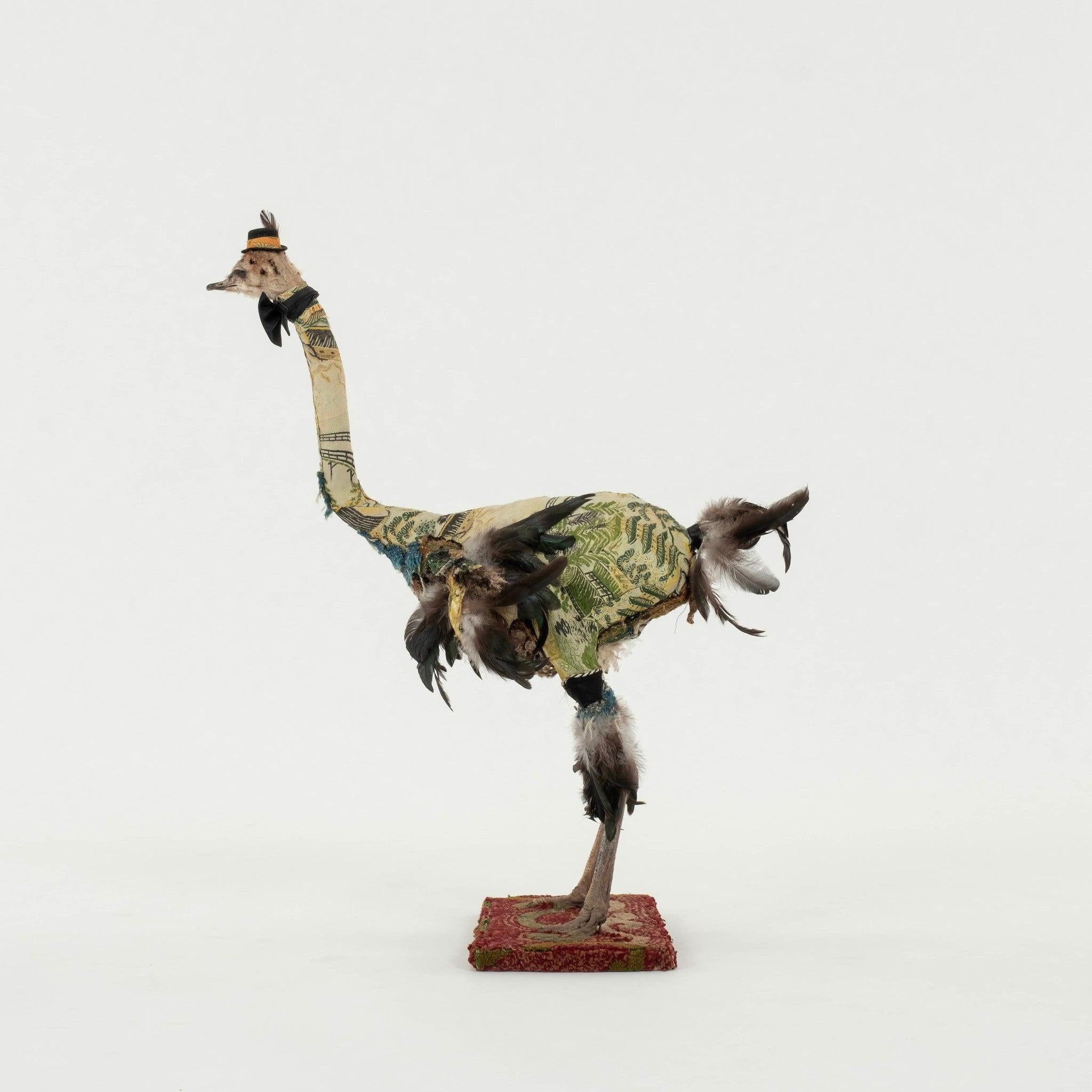 Contemporary Southern Beasts Ostrich Taxidermy For Sale