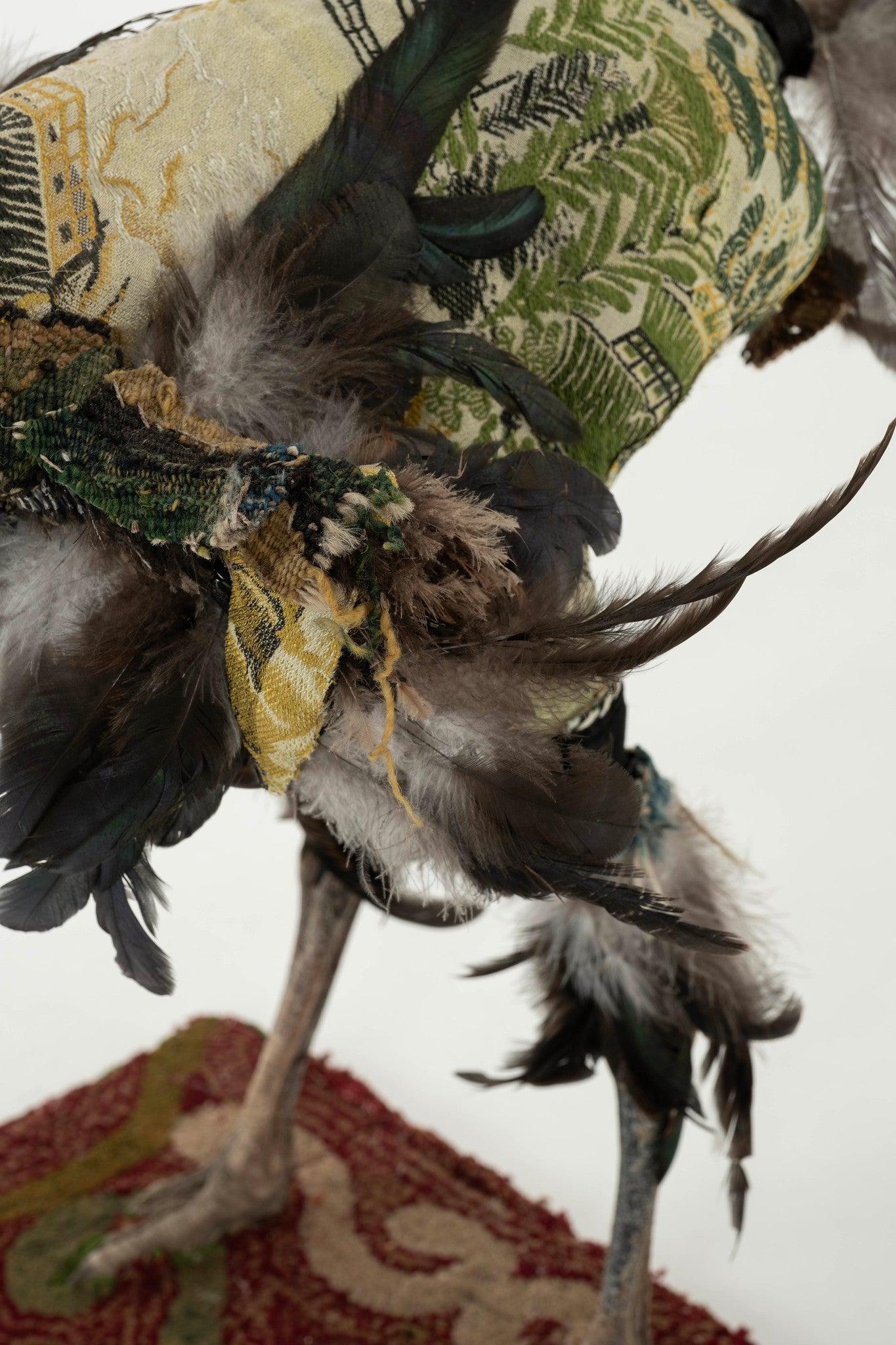 Southern Beasts Ostrich Taxidermy For Sale 2