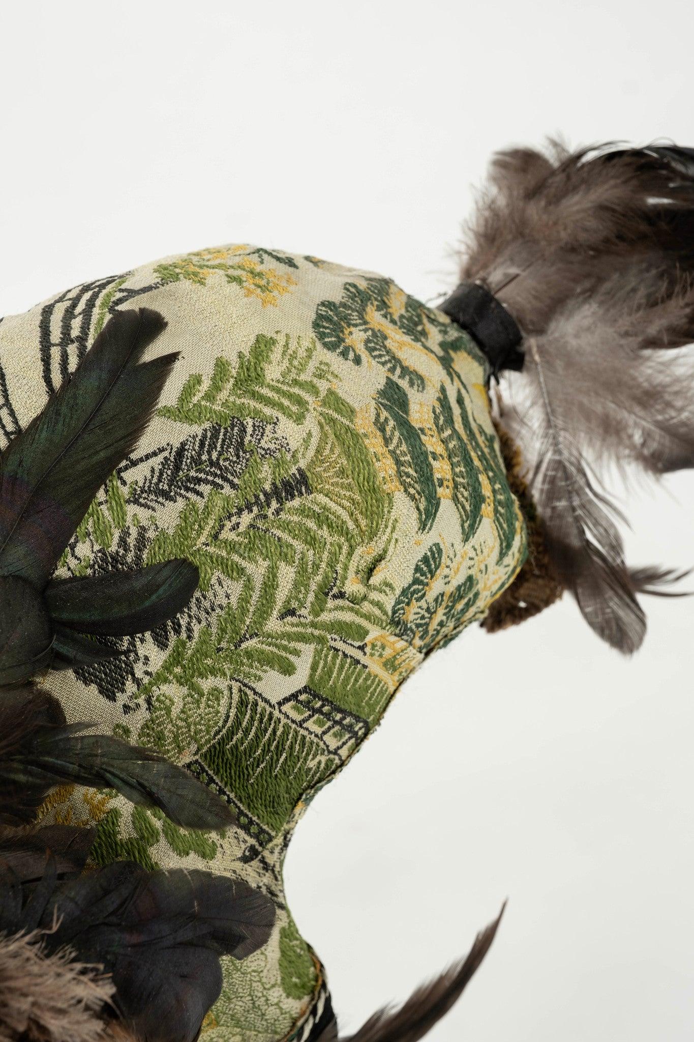 Southern Beasts Ostrich Taxidermy For Sale 3