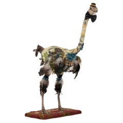 Taxidermia de avestruz Southern Beasts