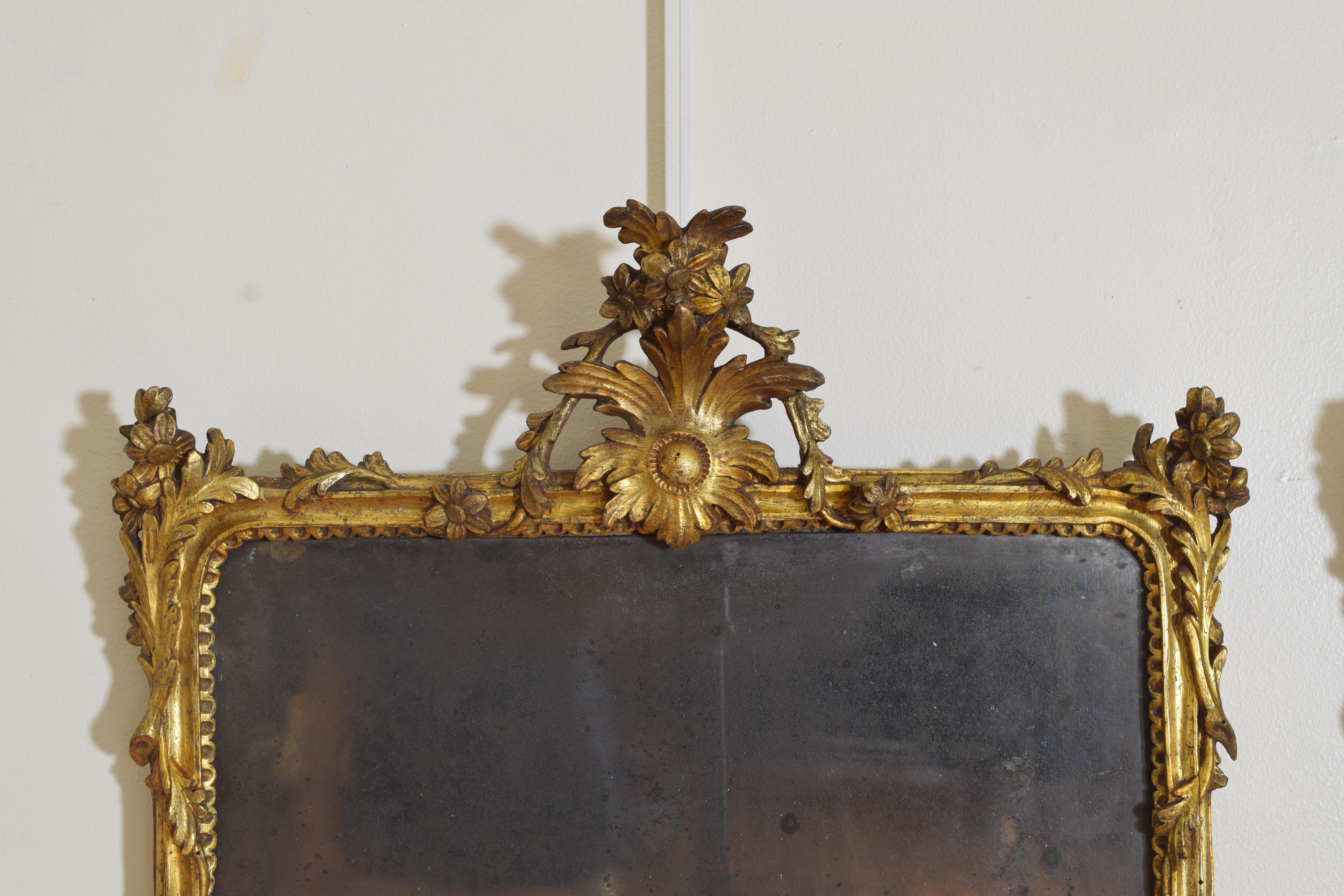Southern Italian, Calabria, Rococo Pair of Giltwood Mirrors, 1st half 18th cen. 2