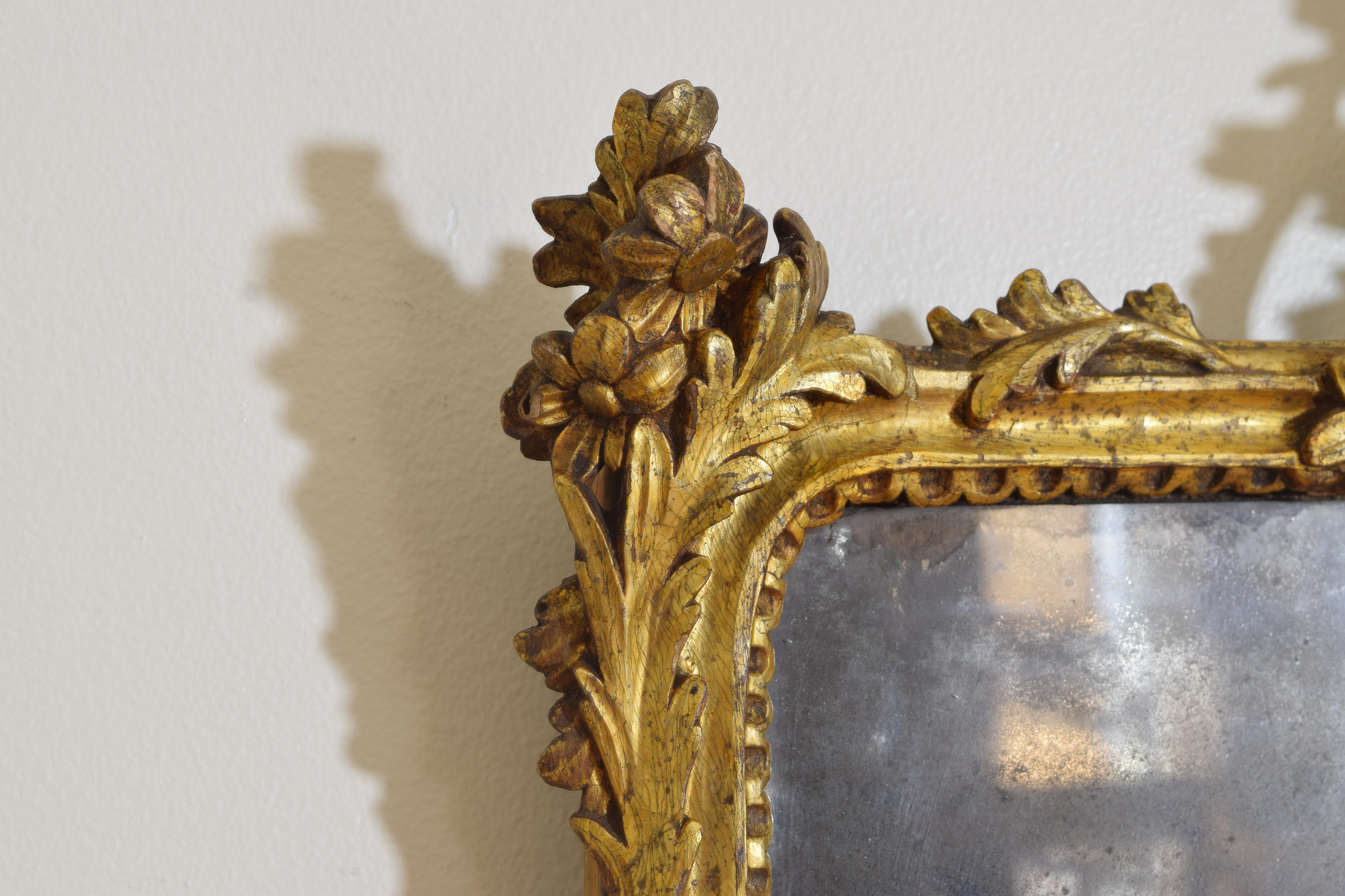 Southern Italian, Calabria, Rococo Pair of Giltwood Mirrors, 1st half 18th cen. 3