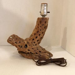 Southwest Organic Modern Cholla Wood Cactus Side Table Lamp, 1950s