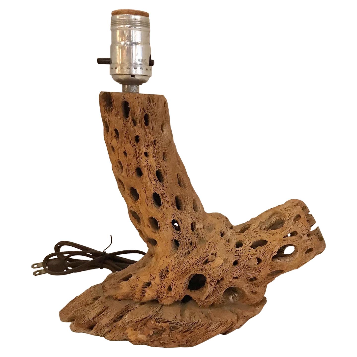 Southwest Organic Modern Cholla Wood Cactus Side Table Lamp, 1950s