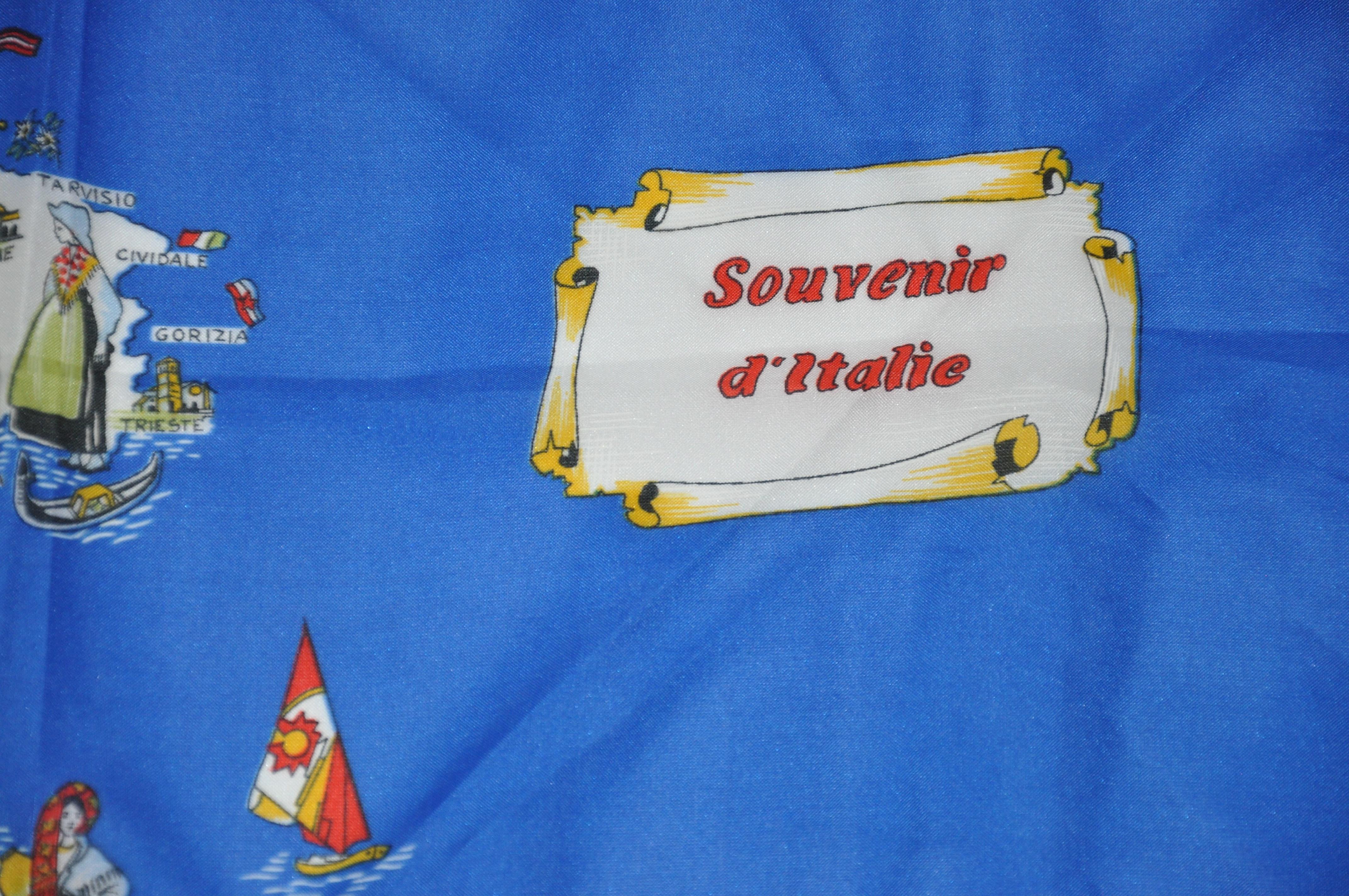 Blue Souvenir d'Italie With Royal Flags Borders Scarf For Sale