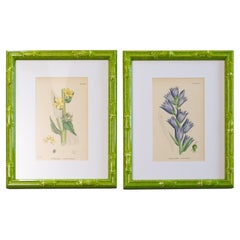 Decorative Art