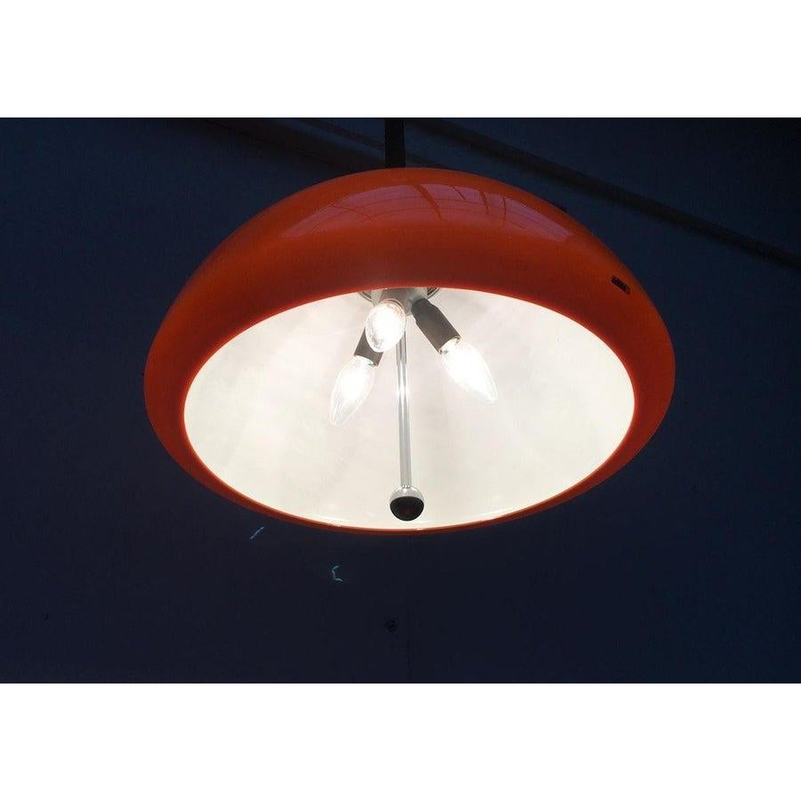 Space Age Cabras Pendant Lamp by Luigi Massoni, 1960s For Sale 4