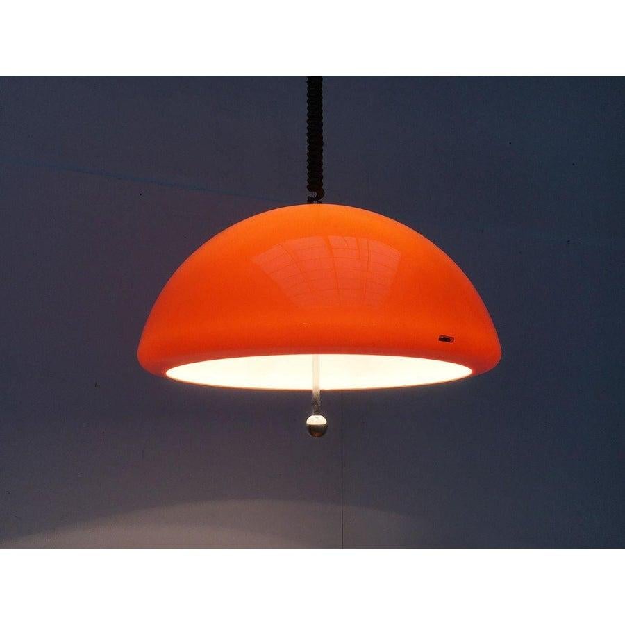 Space Age Cabras Pendant Lamp by Luigi Massoni, 1960s For Sale 6