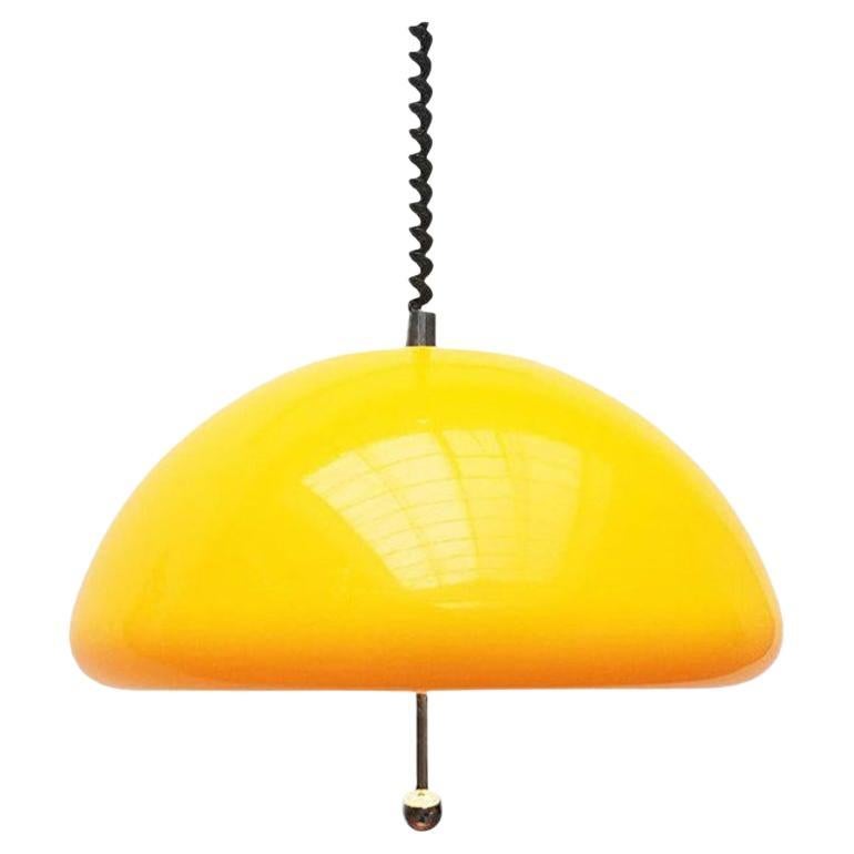 Space Age Cabras Pendant Lamp by Luigi Massoni for Guzzini, 1960s
