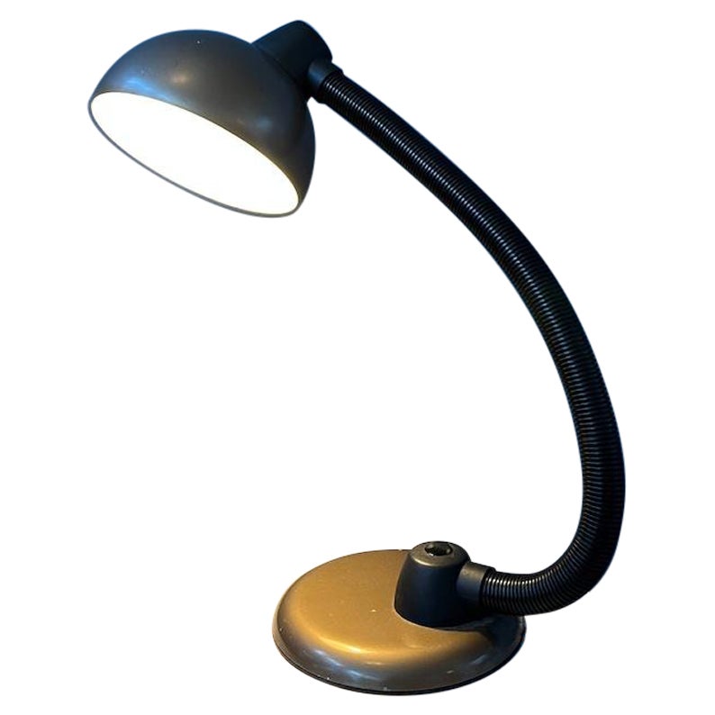 Space Age Desk Lamp with Adjustable Arm, 1970s