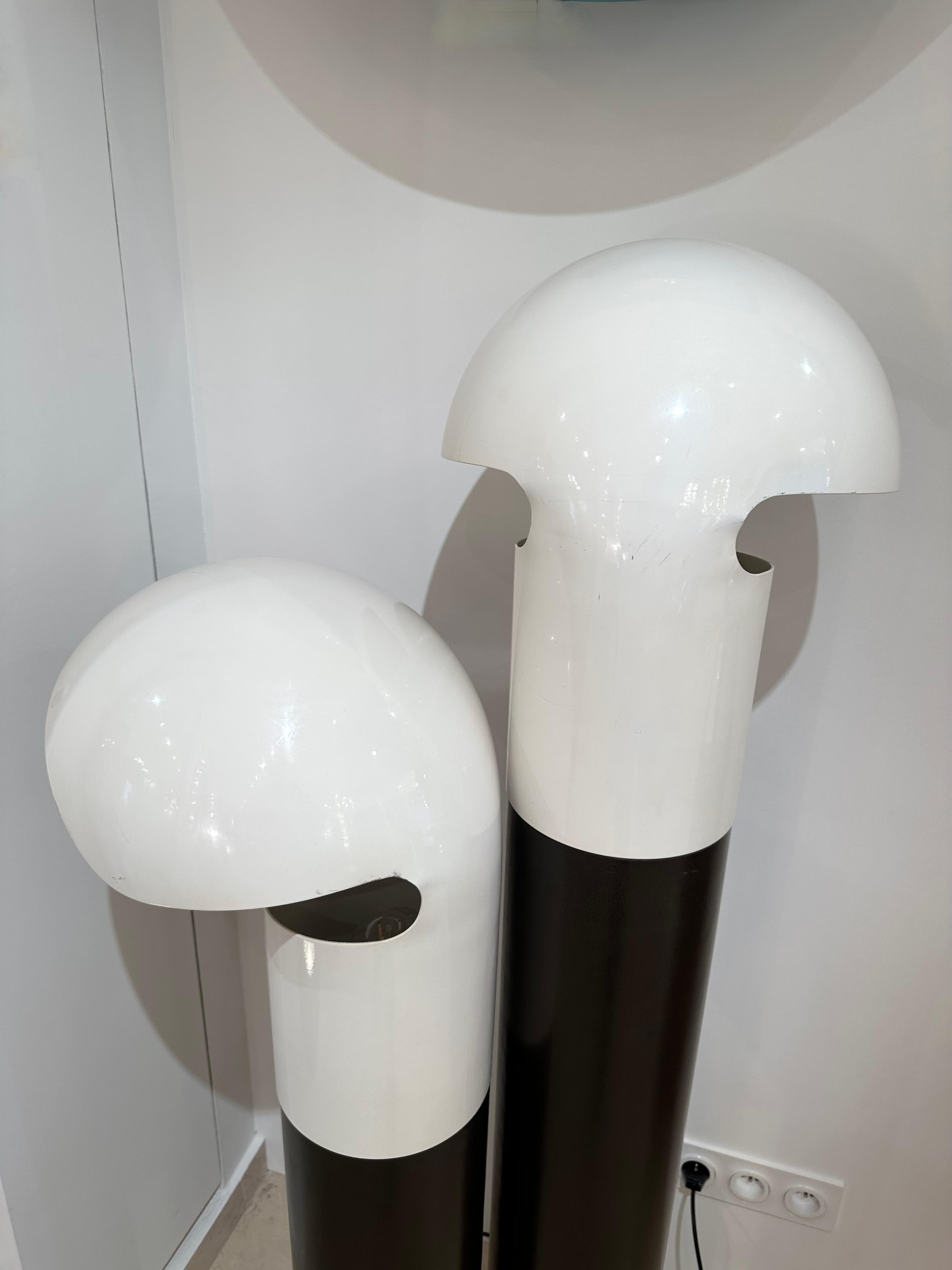 Space Age Metal Lacquered Floor Lamp by Franco Buzzi Ceriani, Italy, 1970s For Sale 7