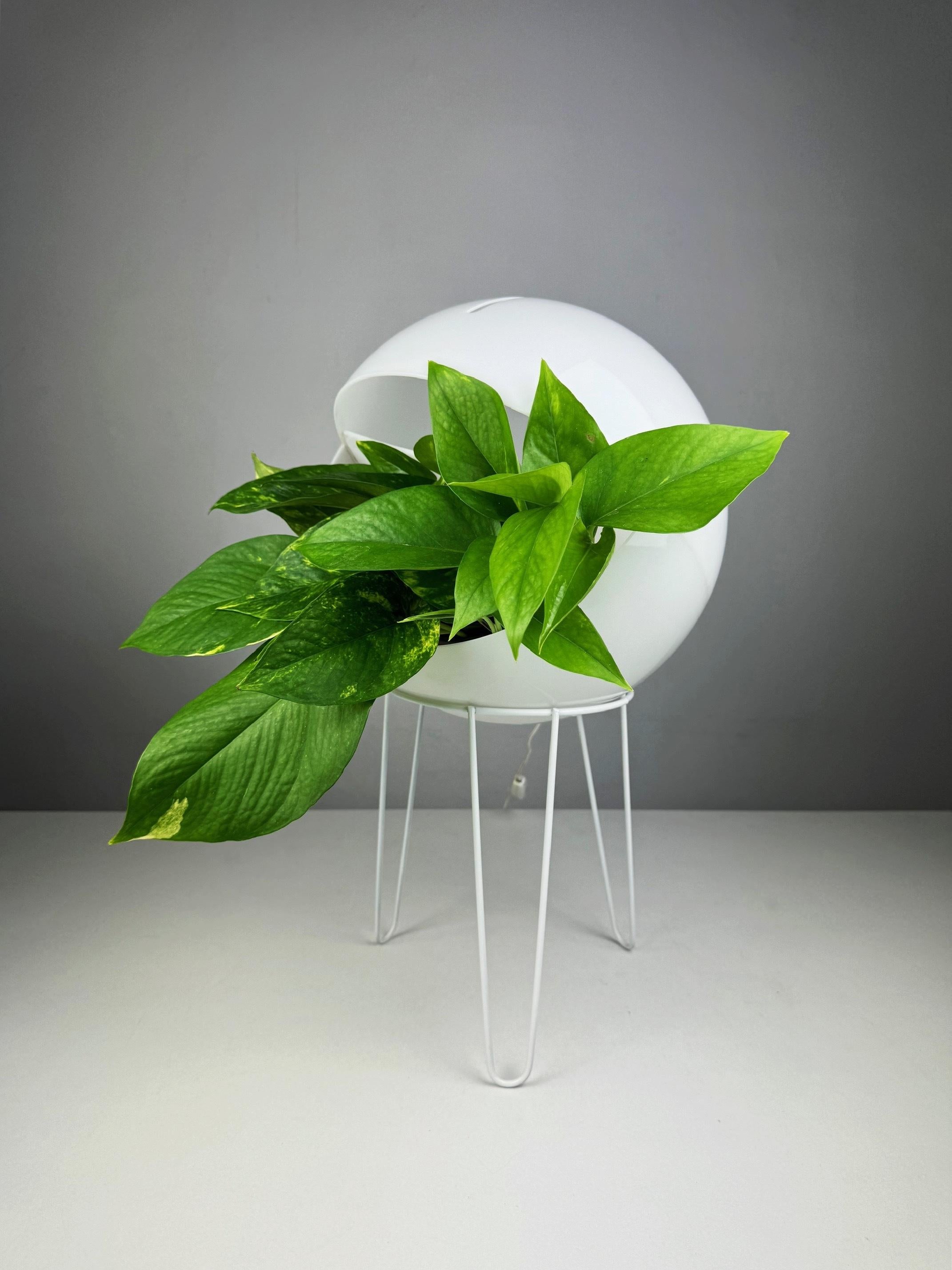 Space Age plant lamp from the 1970s designed with a built-in plant holder In Good Condition In BARCELONA, ES