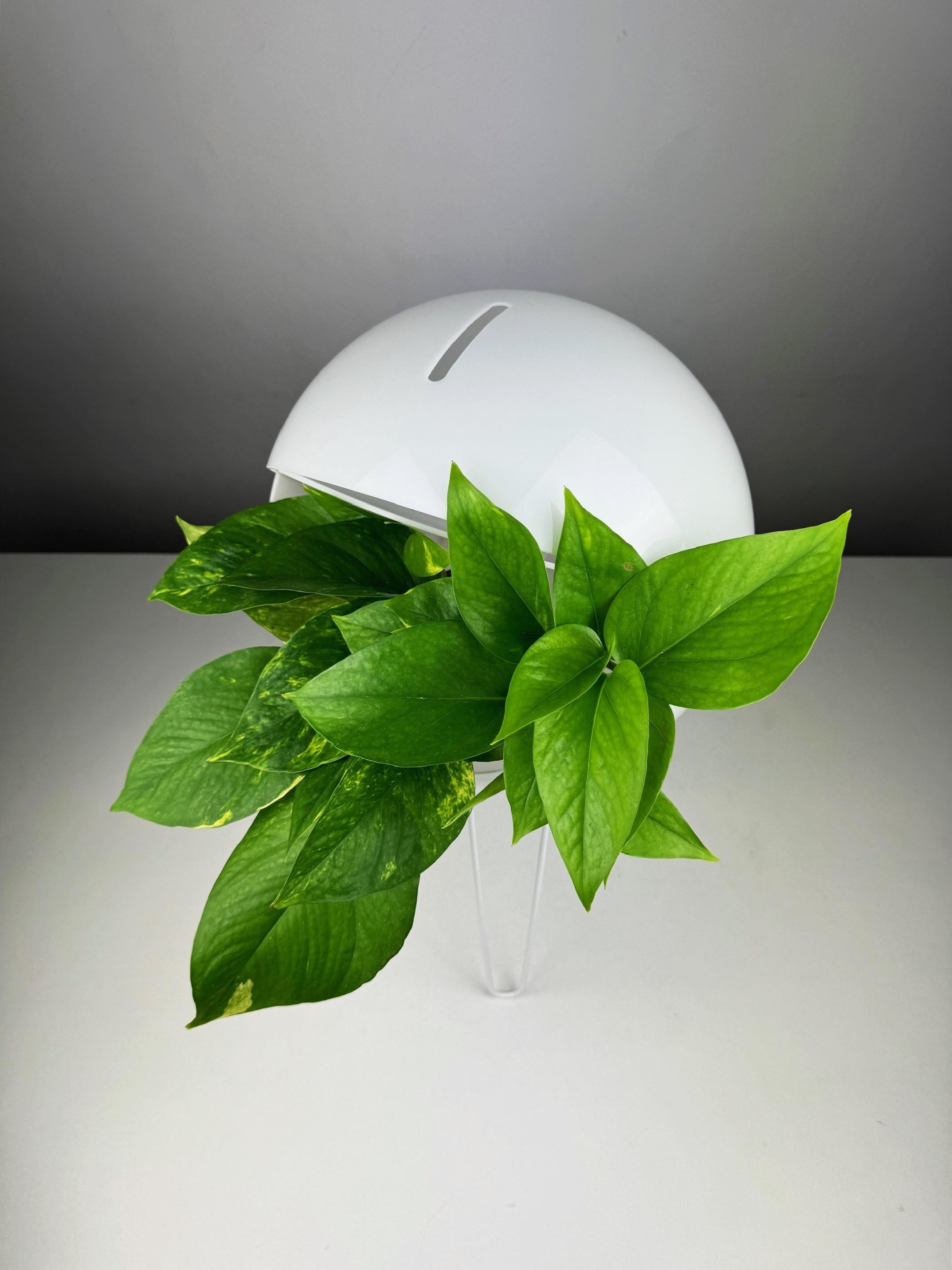 Plastic Space Age plant lamp from the 1970s designed with a built-in plant holder