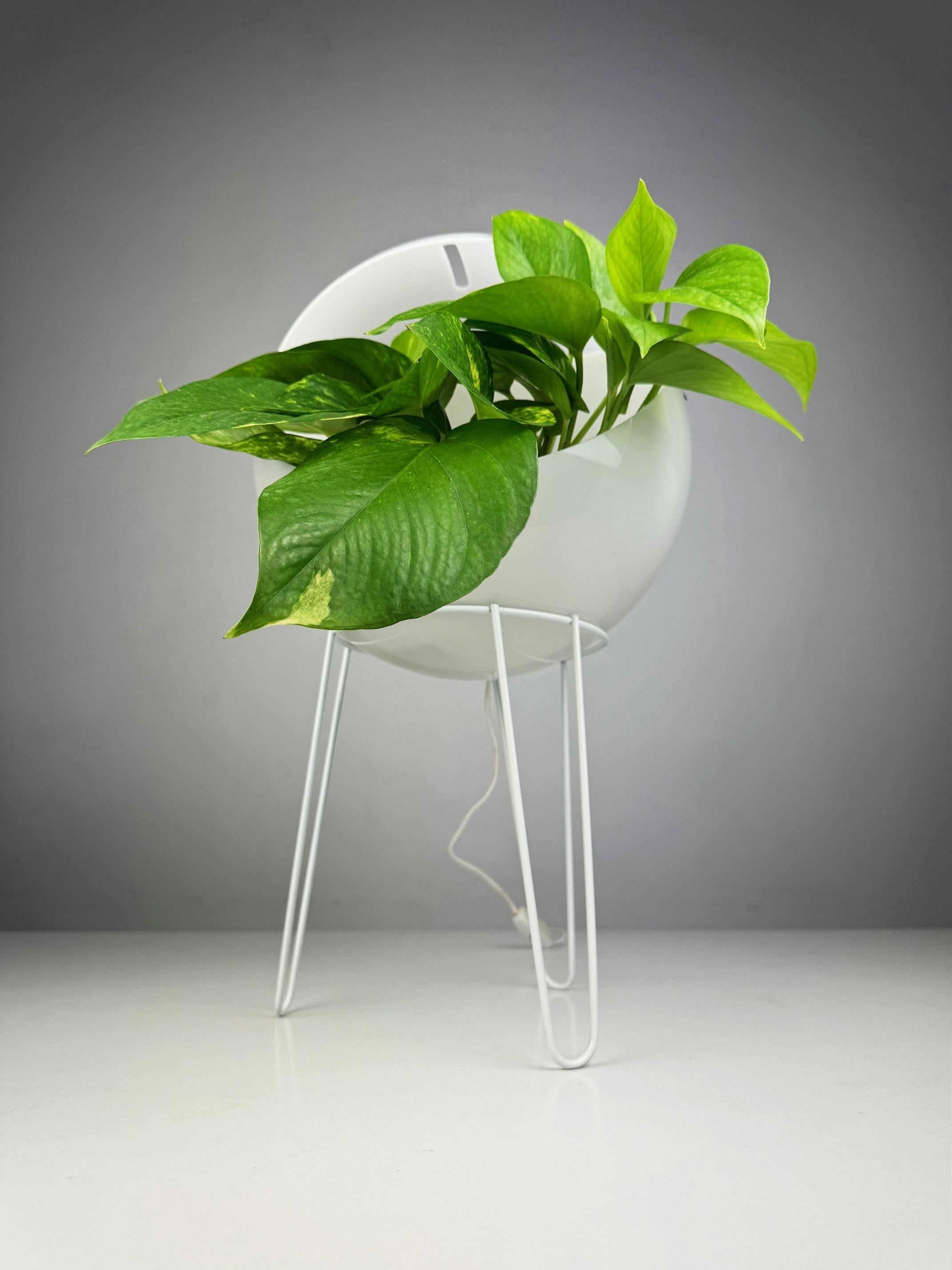 Space Age plant lamp from the 1970s designed with a built-in plant holder 2