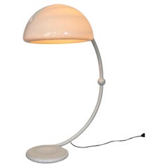 Space Age Serpente Floor Lamp by Elio Martinelli for Martinelli Luce, 1965