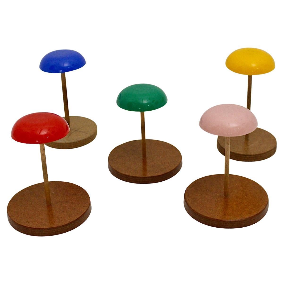 Space Age Vintage Hat Stands Hat Rack Multicolored Plastic Plywood 1960s Austria For Sale