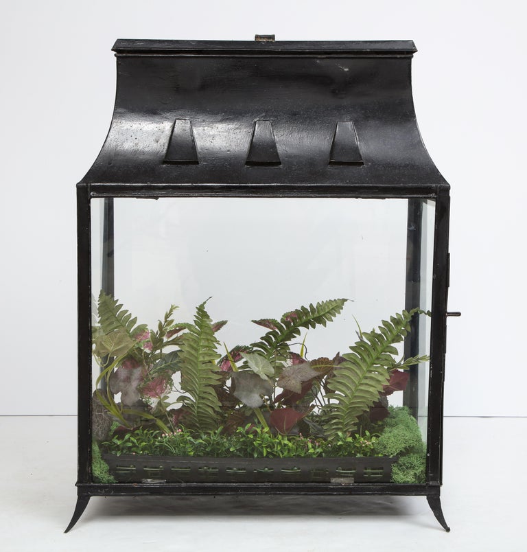 Spacious Glass Terrarium at 1stDibs