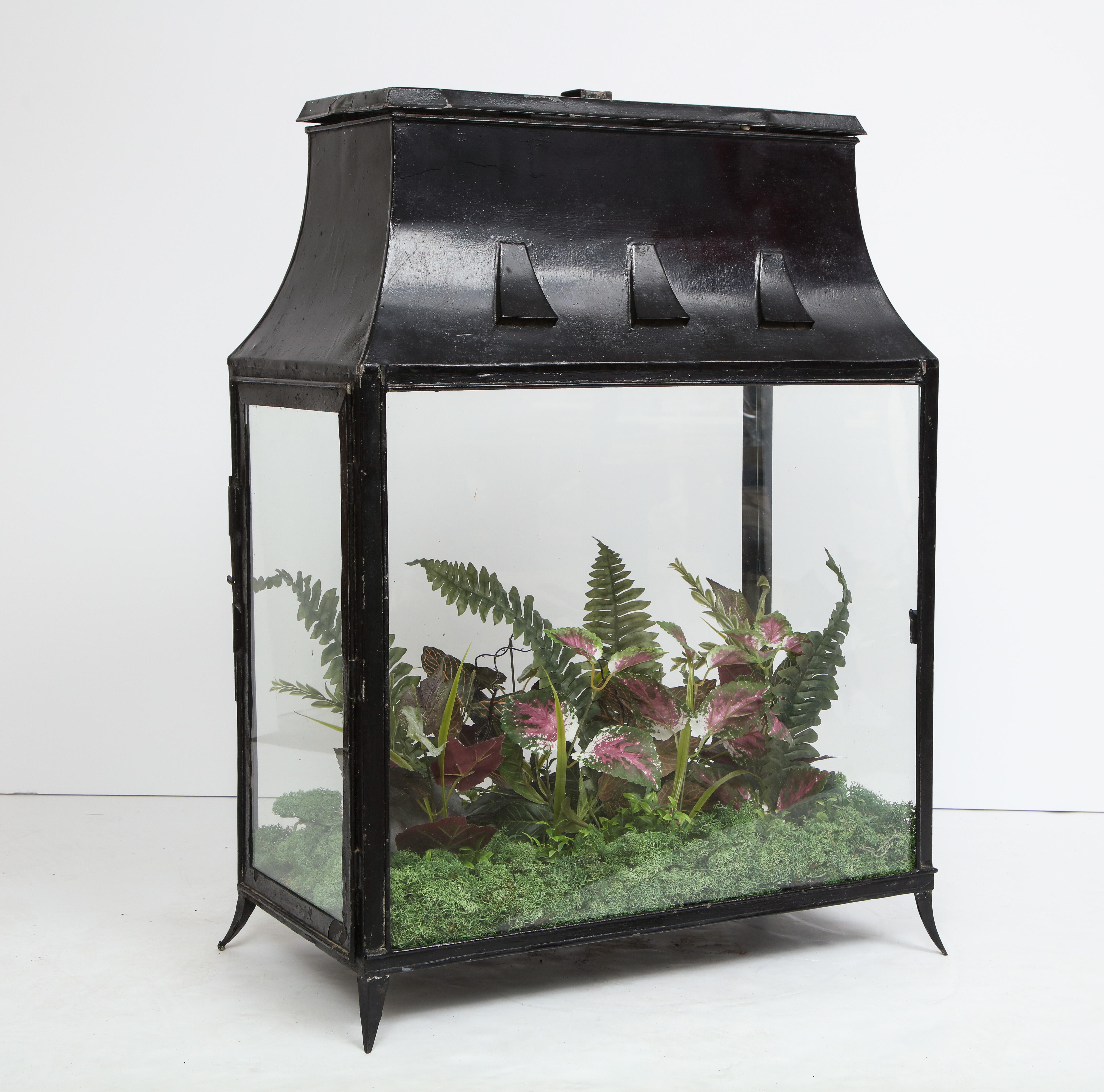 Spacious Glass Terrarium 5