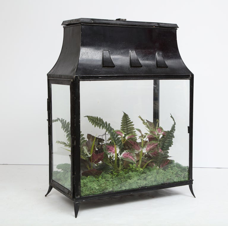 Spacious Glass Terrarium at 1stDibs